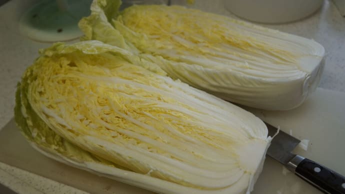 白菜漬けを会得