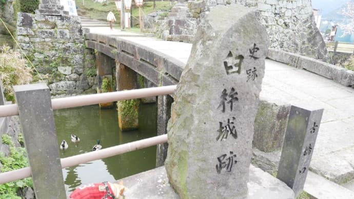 臼杵のピンクと関のクロ