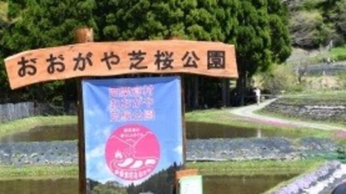 西粟倉村 おおがや芝桜公園