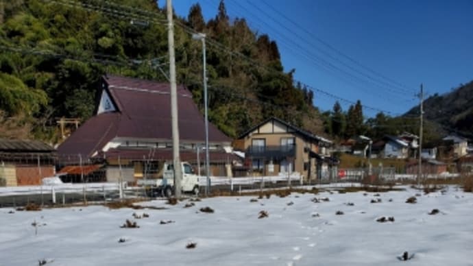 楮の刈り取り再開!