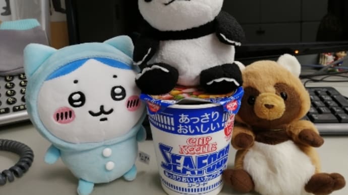 やっぱり今は冬なんだな…
