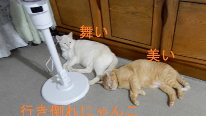 九月、新たにスタート事情。健康面の問題と塾閉鎖