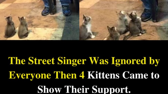 アメリカ版フェイスブックより　支援する猫