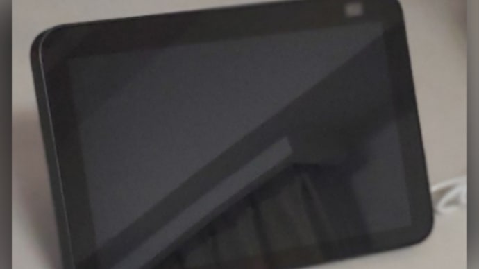 我が家の一員?を紹介します