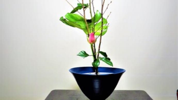 トサミズキの小枝の面白い模様・・生花・新風体