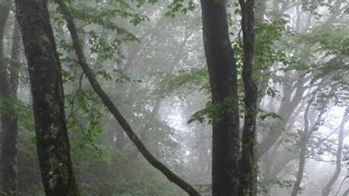 雲霧の男鹿三山を行く。（2021年6月20日）