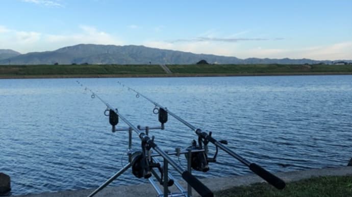 10月11日の鯉釣り