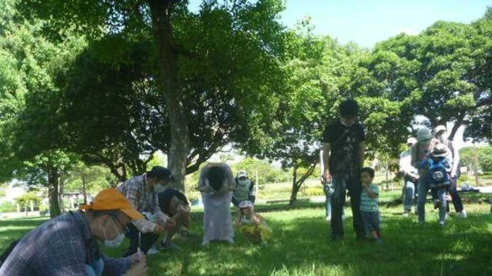 【募集】11月7日(土)森のクニュータナ教室 第4回目 遠州灘海浜公園