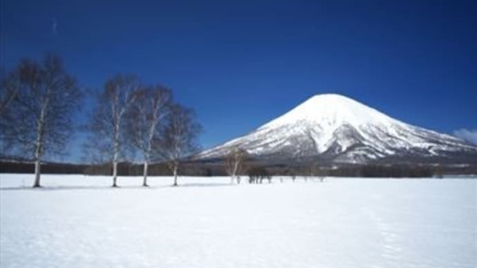重要な質問と最高の答え