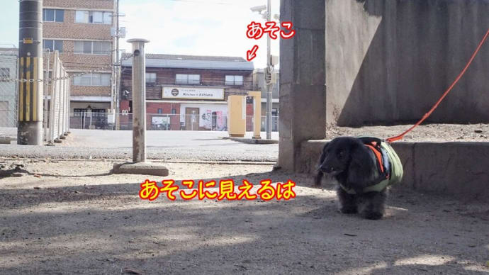 キッチンあしあとさんで 撮影会