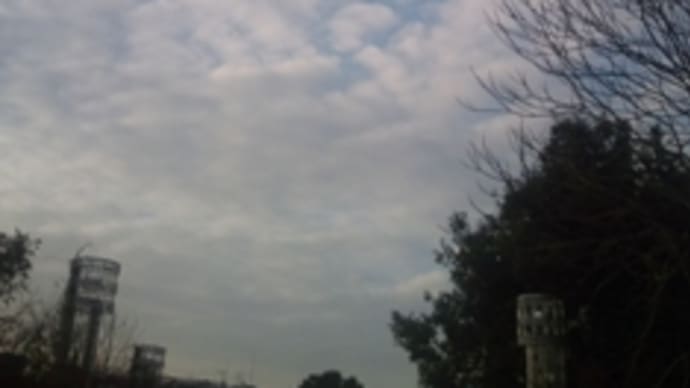 来年は飛べるか
