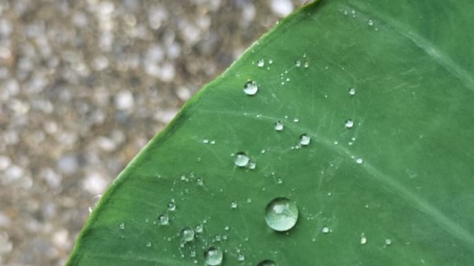 多汗症のその後