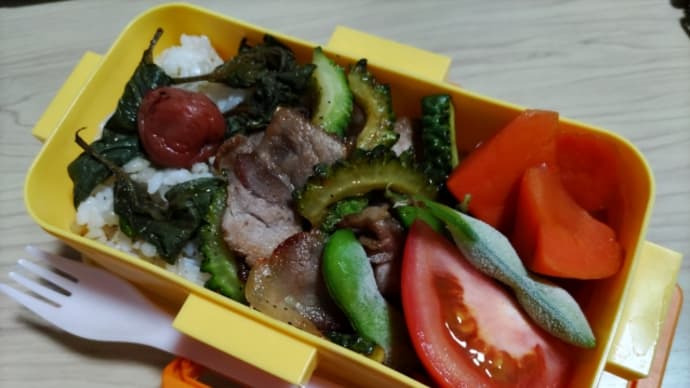 今日のお弁当7月5日