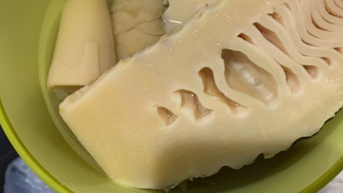 筍仕事2022 、筍が食材になるまで