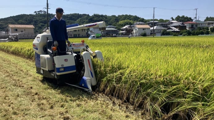 9月7日(116日目)稲刈り