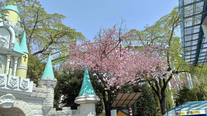 ベニー城の八重桜