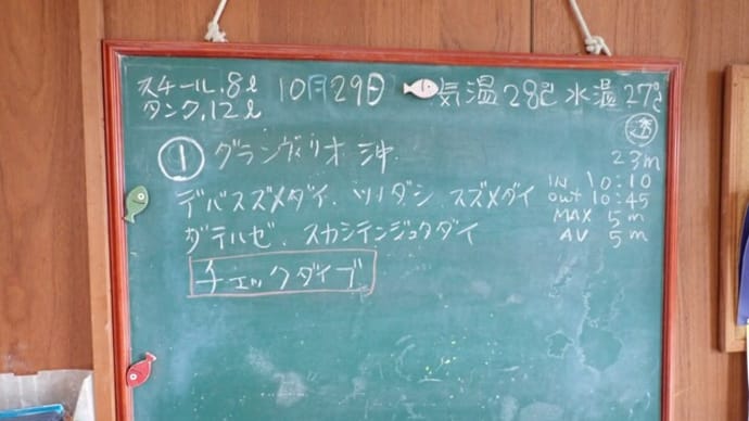 20231029ダイビングログ