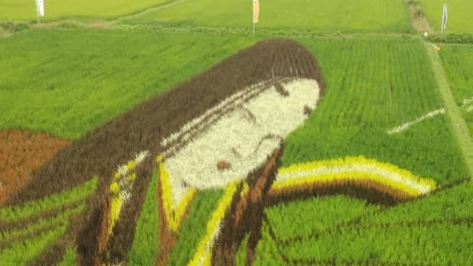 葵の国紀行 19 菊川 田んぼアート2024