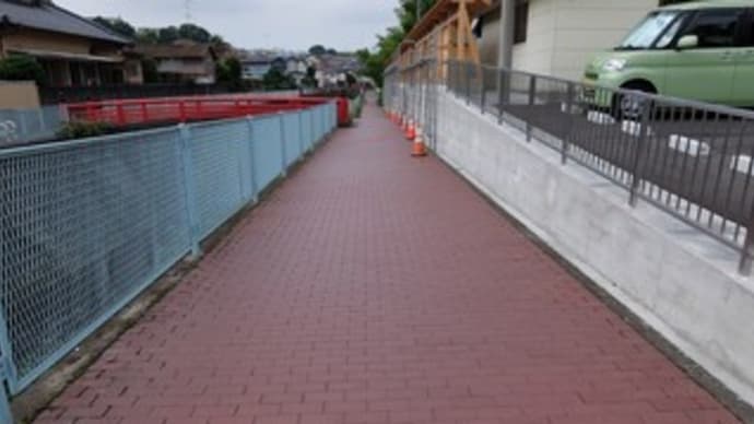 2023神奈川河川ポタリング『宇田川』③まさかりが淵市民の森