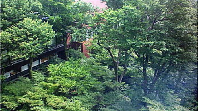 蛍
