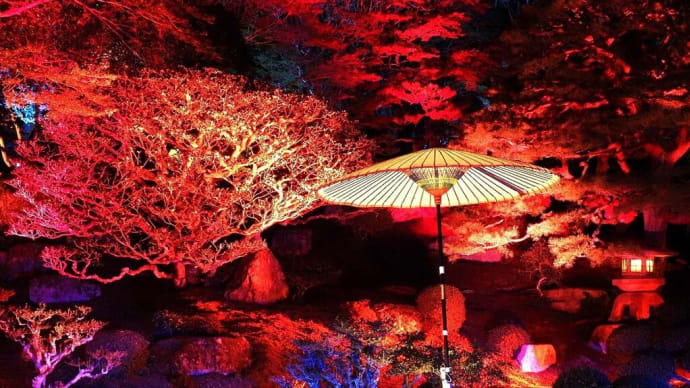 旧竹林院 色変化.....和傘