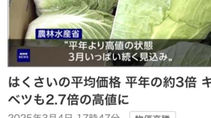 野菜の高騰は当分続くか⁉️