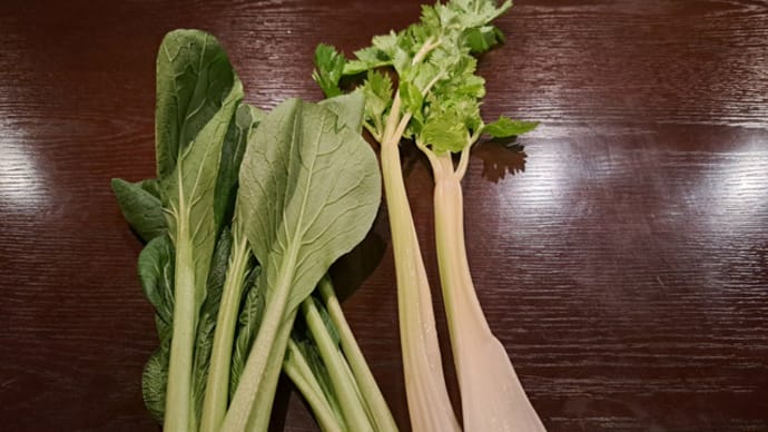 野菜のカクテル