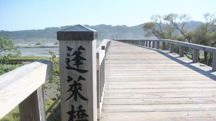 京都・八幡、翡翠な紅葉アーンド流れ橋(2)