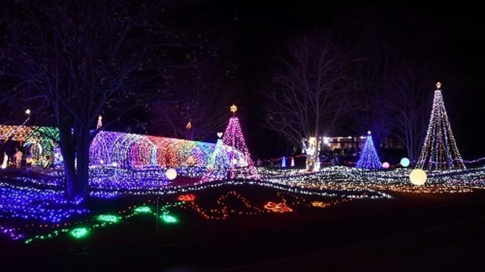 県立フラワーセンター「花と光のクリスマス」 '22