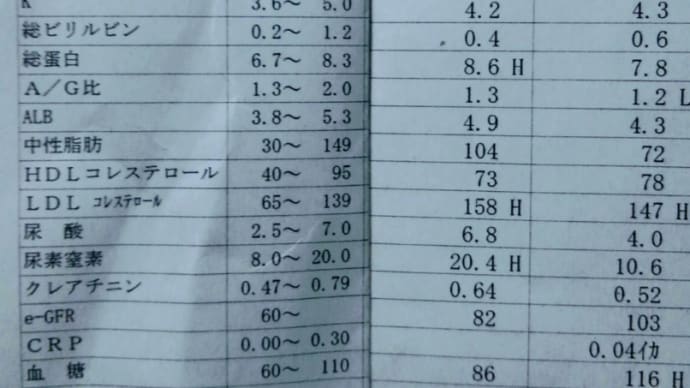 ケーシー? & 検査結果