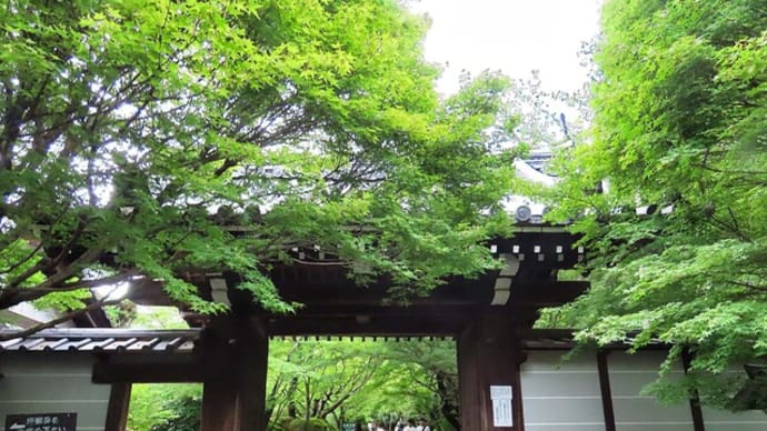 龍安寺 鏡容池と苔