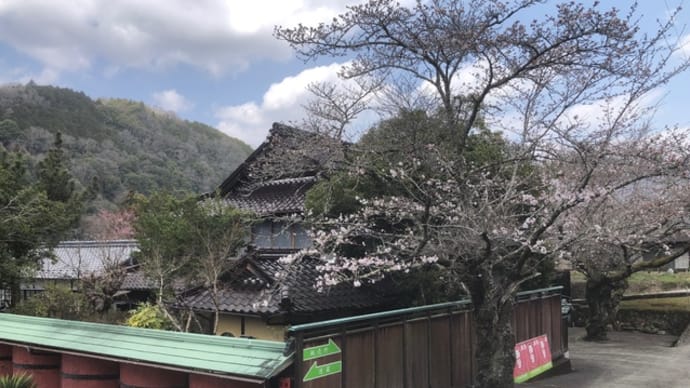 花街道ドライブ〜矢作川上流域イントヨタ