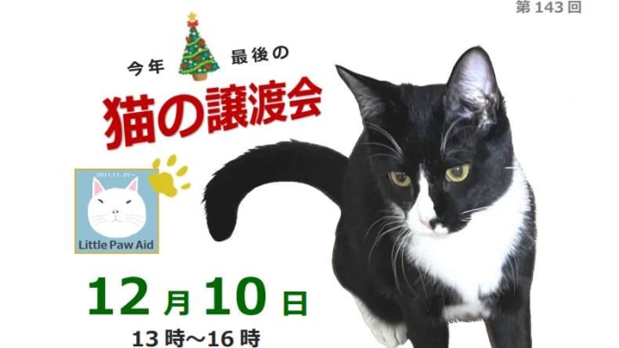 譲渡会開催