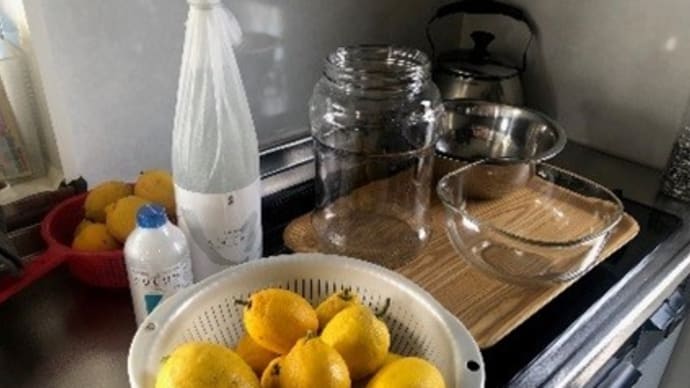 レモン化粧水 