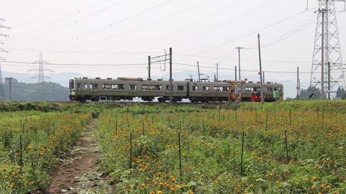 山形らしい風景