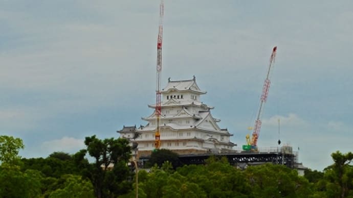 今日の姫路城 (2014.8.1)