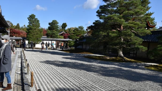 もみじ狩り 京都府右京区 紅葉名所めぐり4日目 【2】-(4)臨済宗 大本山 天龍寺 曹源池(そうげんち)庭園