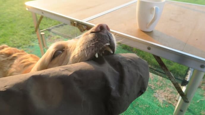 朝の瞑想タイム~☕