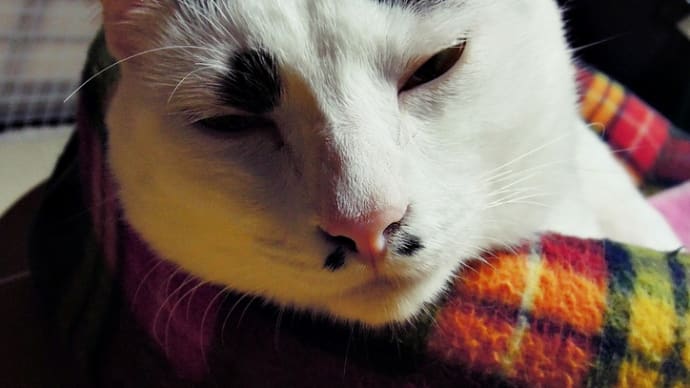 虚ろ