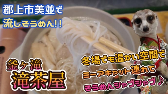 郡上市美並の流しそうめん、釜ヶ滝滝茶屋で冬場も楽しめる温か流しにゅうめんとミーアキャットお散歩👣