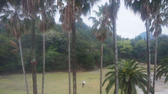 4/11 大久野島、道後温泉