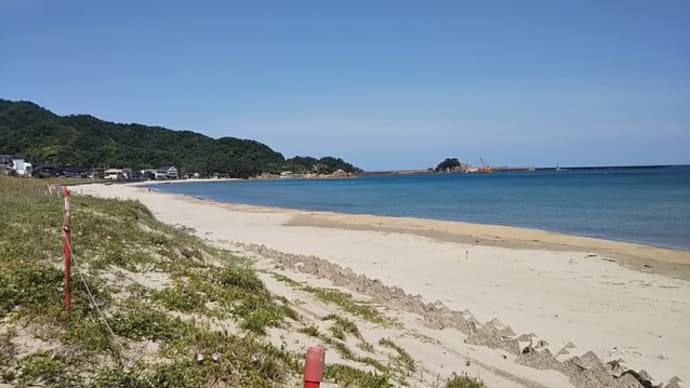 山陰海岸ジオパーク巡り。浦富海岸へ。荒砂神社へお参り。おみくじは41番中吉。路上ではねる魚を発見。海に返して、魚は生き返りました。千貫松島・鴨が磯・但馬御火浦へ。
