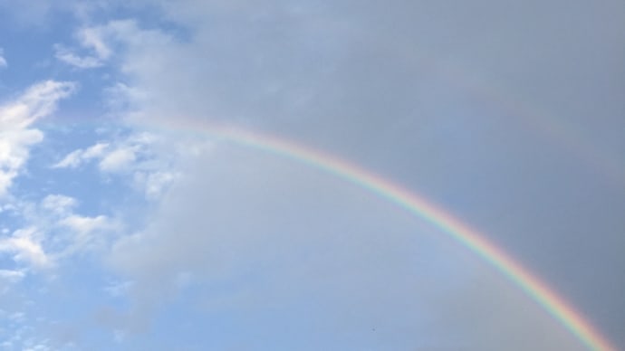 11月の4枚 🌈心の平和🌈