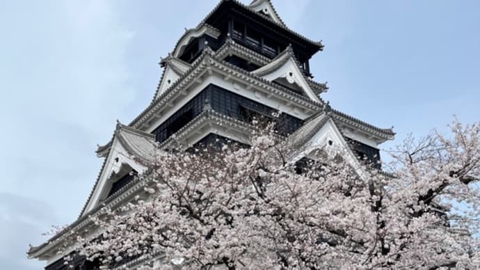 熊本城見学　地震被害と再建の努力