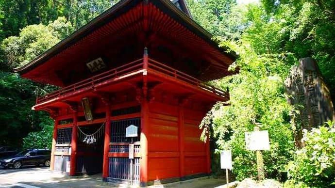 2025年6月:大平山でアジサイ開花状況偵察