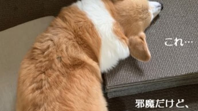 タイルカーペット入替え