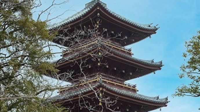 上野の山見て歩記。