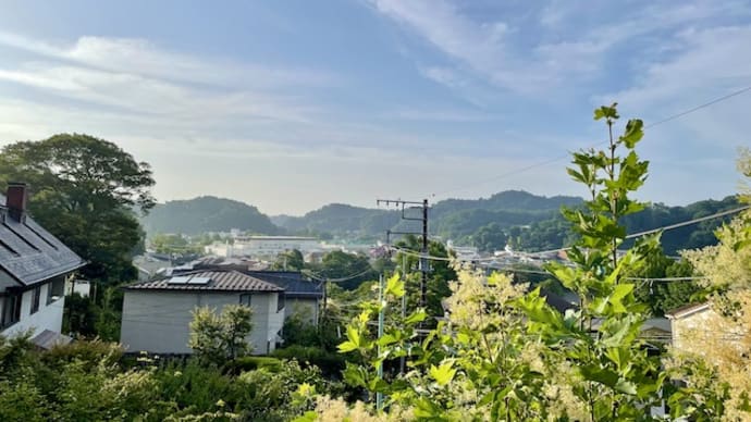 学会からの感謝状