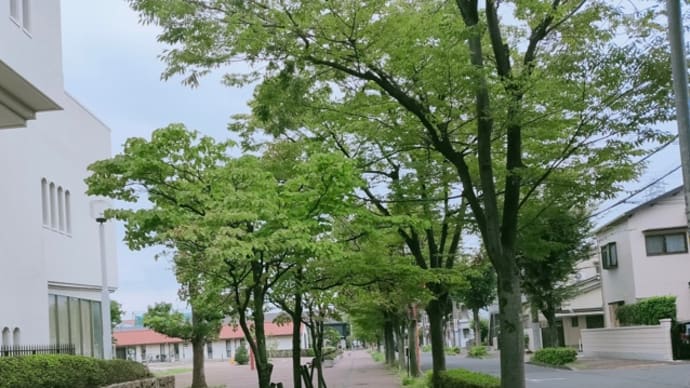 20年前の場所と「ちびっ子さん」たち