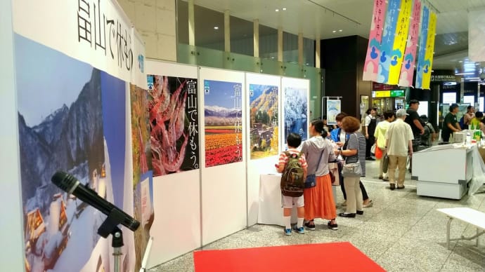 富山県の物産展でホタルイカ、かまぼこは美味です。